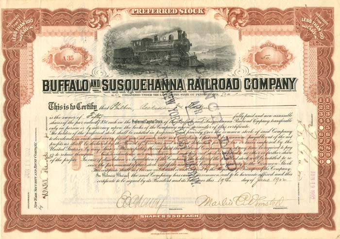 Buffalo and Susquehanna Railroad Co.